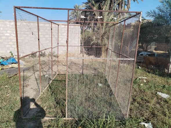 السلام عليكم
قفص للبيع  راهم ومرهم  سيم طبقتين 
 الطول ٣ متر
والعرض ٢ متر
والارتفاع ٢ متر
السعر المطلوب ٢٠٠ وبي مجال شويه
***********
***********
تل السيباط
