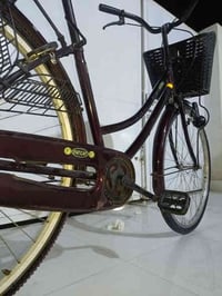 باسكل • نضيف • ديالى المقدادية