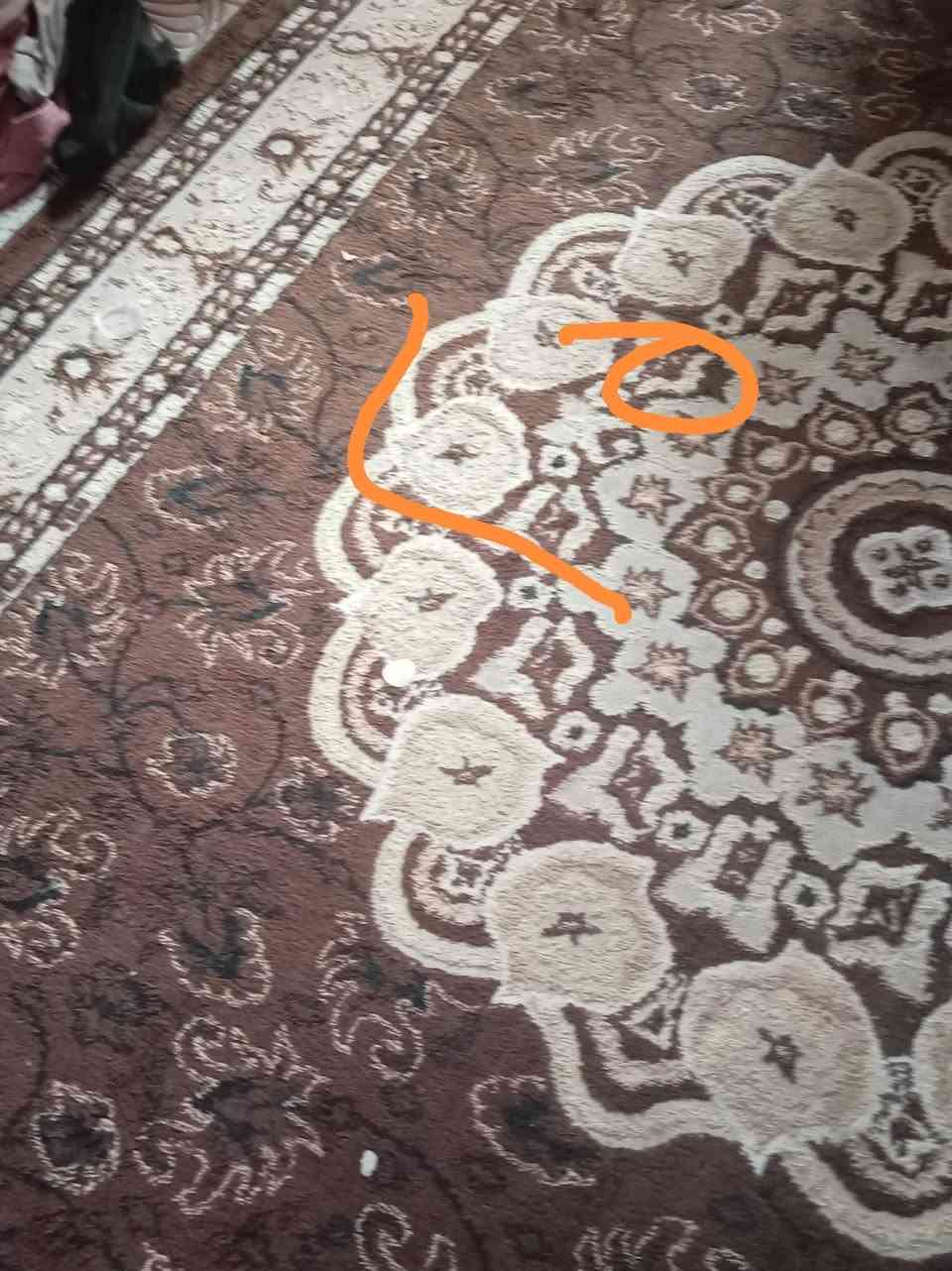 السلام عليكم غراض بيت للبيع ولاسعار بيه مجال للاستفسار اتصل ***********
