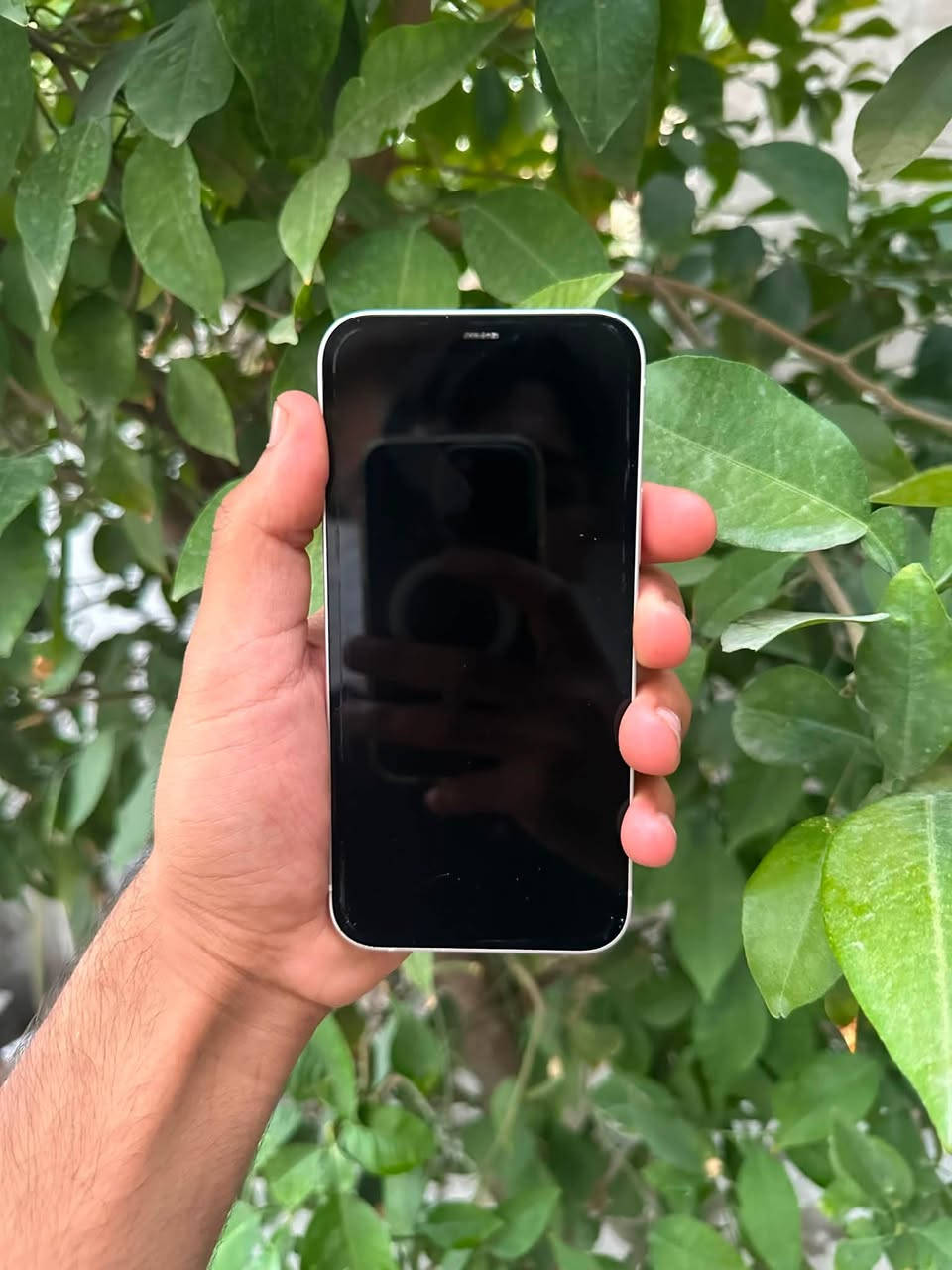 سلام عليكم
iPhone 12
لون الابيض المميز 🤍
نموذج m
ذاكرة 64
بطارية 76‎%‎ ميصرف شحن ابد 
نضافة 100‎%‎ شخط مبي الجهاز 
وتر بروف ممفتوح ولاداخل تصليح 
وين متريد افحص 
كلشي شغال بي مبي اي نقص 
فيس ايدي ✅ سماعات✅ كامرات✅ شبكه الاتصال✅ شبكه الانترنت✅ 
جاهز من اي نقص 
الجهاز حيل نضيف مراح تلكه بنضافته 
مكاني بغداد حي الاعلام 
*********** موجود واتساب 

اسف عل اطاله🤍
