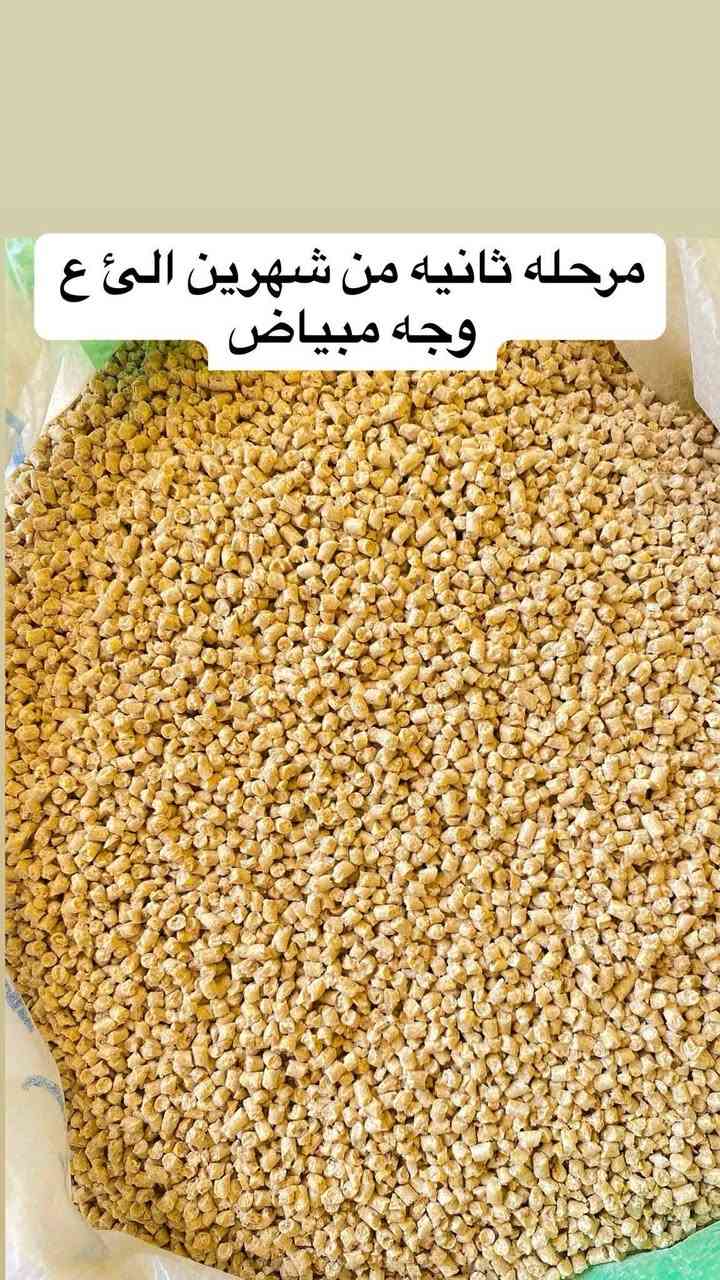 توفر لدينا اعلاف تاج وباج لدجاج البياض 
لدجاج الزينه
دجاج هراتي
دجاج عرب
المكونات
المكونات

برمكس ايطالي وبلجيكي مضاد سالومونيا وايكولاي مضاد كوكسيديا بكل انواعها رافع سموم فطرية ومضاد تعفن وتسمم وفطريات فاتح شهية ورافع مناعة ديجستروم وخميرة تياكس احماض امينية ومعادن وزنك فيتامين وكالسيوم هيدرو بروتين لايسن نيتونين كولين كلورليد مضاد اكسدة - حنطة - ذرة صفراء -
نسبة الصويا - زيت الصويا - ملح طعام مع ٦ انواع أعشاب طبيعيه
عيادة الرحمه البيطريه 
د. بهاء الدين الاعرجي
للاستفسار الاتصال على ***********
الأسعار
مرحله أولى ٢٧ الف
مرحله ثانيه ٢٧ الف
مرحلة البياض امهات ٢٧ الف
مرحلة سوبر بياض ٢٧ الف
