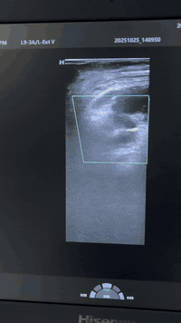 د. نهى الجبوري • سونار ودوبلر • القيارة مجمع الكوثر