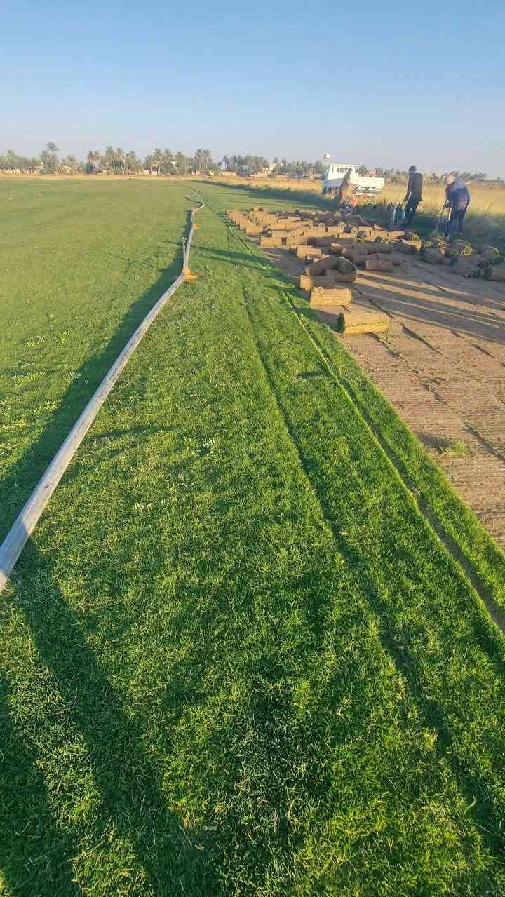 اهلاوسهلا متابعينه الاعزاء ثيل  هندي طبيعي �. سعر المترالمربع (2500)دينار توصيل مجاني � نقدم لكم افضل انواع الثيل الطبيعي عالي الجوده للأستفسار اتصال***********  اتصال*********** 
واتساب ***********
