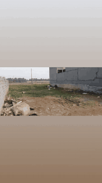 بهرز • ٢٠٠م • واجهة١٠م