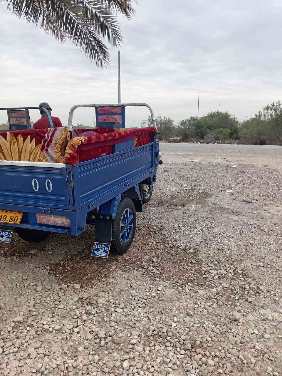 سلام عليكم ستوته فحل مديل 2023 وراق صولي ***********
