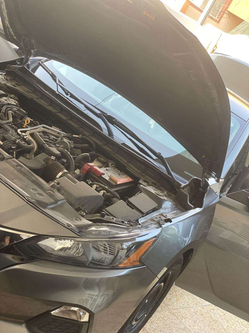 التيما s
2022
*********** كركوك, العراق
