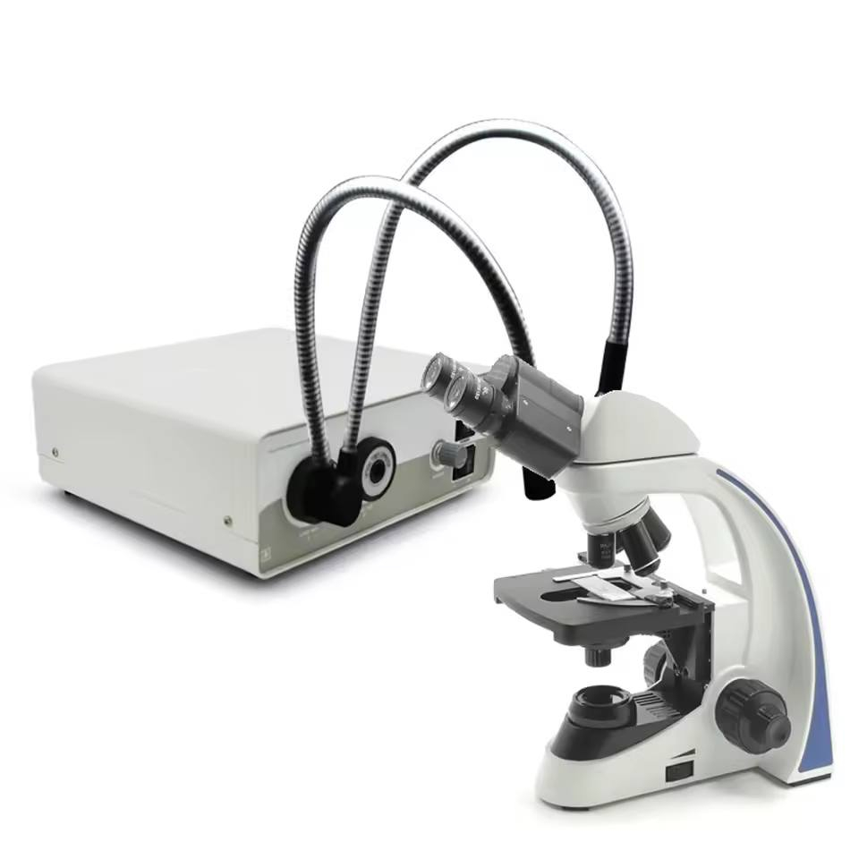 هذا الجهاز هو مصدر ضوء بارد LED طراز XD-301، ويستخدم بشكل أساسي في التطبيقات الطبية مثل المناظير وفحوصات الأسنان. 
نوع الضوء: LED ذو سطوع عالي مع درجة حرارة لون ثابتة. 
المنافذ: يحتوي على موصلات للألياف البصرية (Fiber Connector) لتوجيه الضوء بدقة. 
التحكم: يتيح الجهاز تعديل مستويات السطوع لتناسب الفحص المطلوب. 
الاستخدام: يُعد مكونًا أساسيًا للحصول على صور واضحة أثناء العمليات الطبية


**إذا كنت صاحب هذا الإعلان وتريد حذفه لأي سبب، رجاءا أرسل رسالة إلى الدعم الفني**