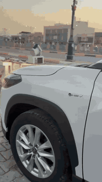 تويوتا كورلا كروس هايبرد موديل 2025 
ماشيه 10 الاف رقم بغداد كفاله عامه 
4 كامرات 360
مقاعد جلد + مقعد السايق كهرباء 

💎 ســعــر ✅ ::  الــرد تلقائي 📮

اوتو هولد +سايد بريك دكمه
تحديد مسار +مانع تصادم 
قياده ذاتيه مانع تزحلق  دخول ذكي + تشغيل بصمه 
فتحه + قطعتين تبريد 

رقم صاحب سيارة ::- ***********
