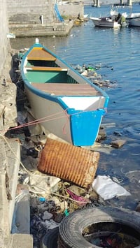 جينكوه للبيع الطول 15 وشار وارد للستفسار وات ساب 07737305515