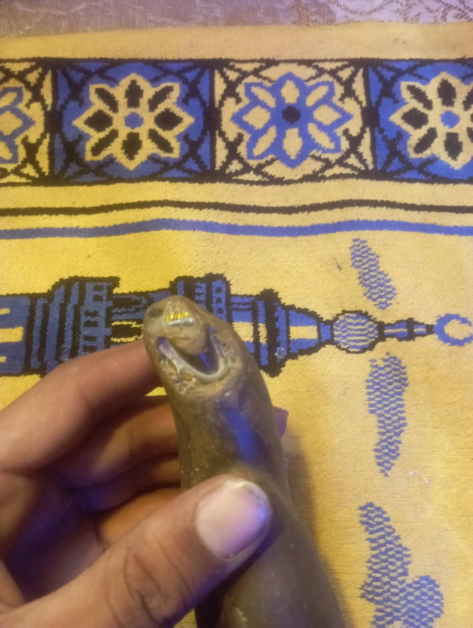 حجر سلطاني للبيع


**إذا كنت صاحب هذا الإعلان وتريد حذفه لأي سبب، رجاءا أرسل رسالة إلى الدعم الفني**