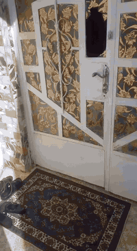 مكلف بلنشر بيت 🏘️للبيع. في منطقه الكرغواليه
 قريه ساده الصوافي يم مولده سيد خالد 
شارع تبليط.  ماي وكهرباء. نت ضوئي 
 مساحه 125 متر. واجهه 7. ونزال 18
مبني بلوك وكاشي طرمه سراميك.
استقبال وغرفه نوم ومبطخ وصحيات
وصاله.   
للتفاصيل اكثر اتصل ع الرقم سيد صلاح
***********
