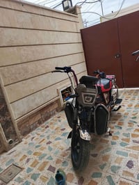 هارلي • شحن • ٢٠٢٥