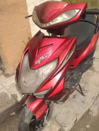 سكنس • شغالة • فراشة