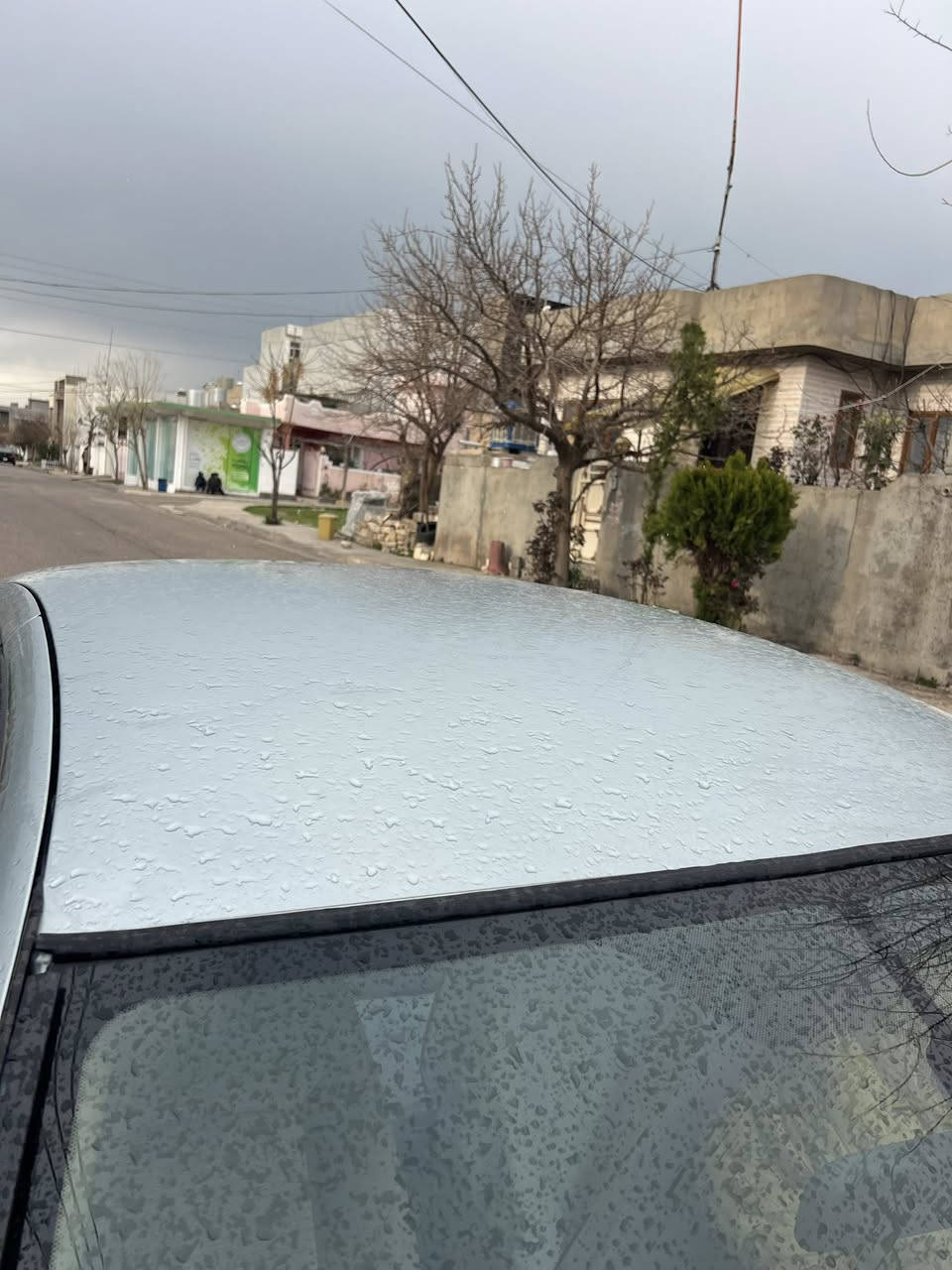 براوەی دوبەی.  ژ م ***********.     ***********
