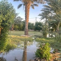 بيت للبيع مساحة ١٥٠ متر طابو زراعي سند ٢٥ طابقين بناء هندسي الطابق خري...