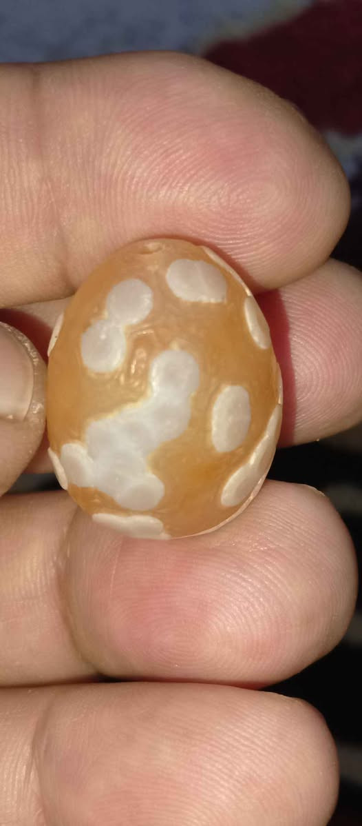 ‎خرزة سليماني‎ كربلاء, العراق


**إذا كنت صاحب هذا الإعلان وتريد حذفه لأي سبب، رجاءا أرسل رسالة إلى الدعم الفني**