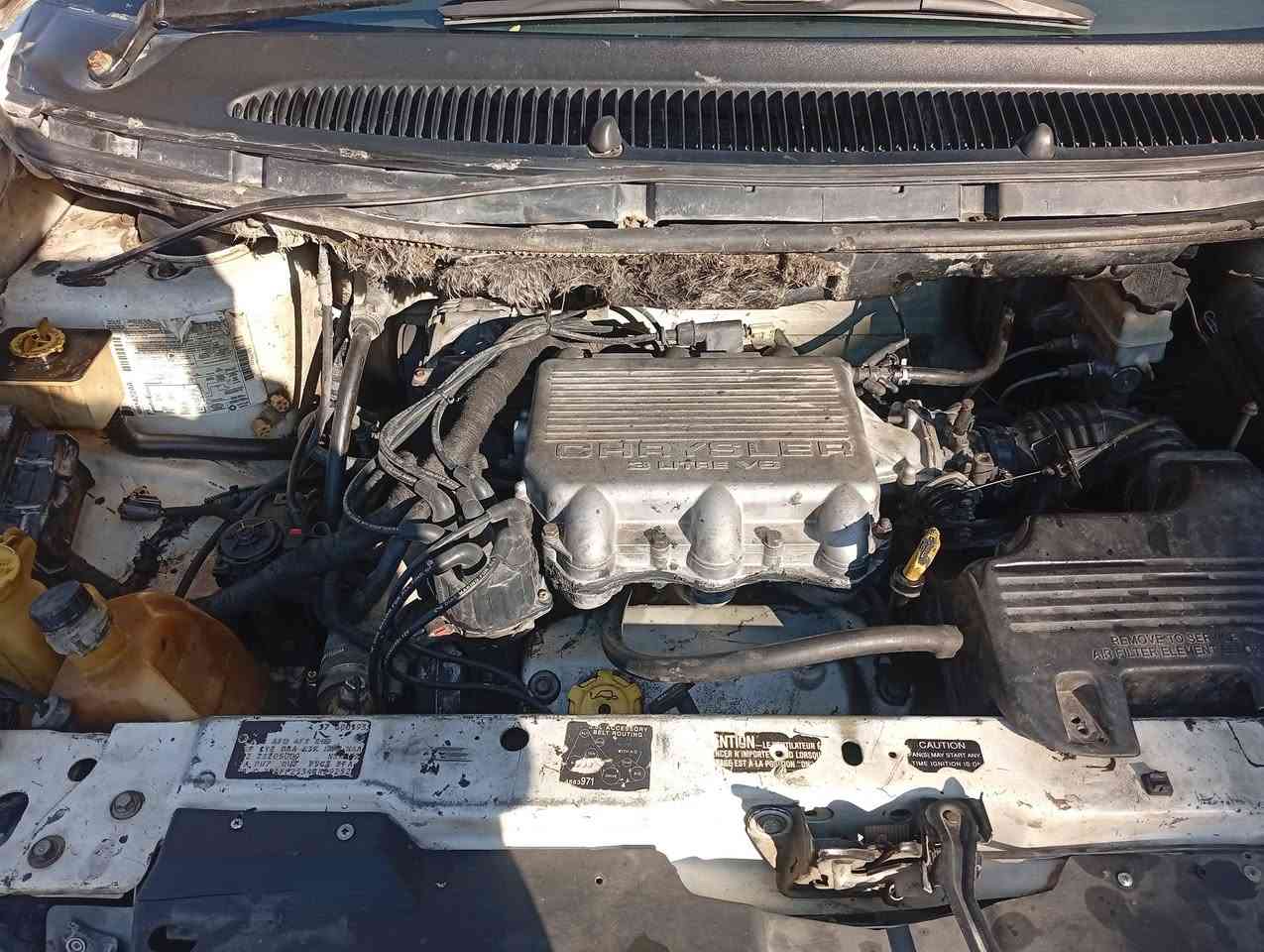 زوج موديل 99 قطر الصبغ ما بيها كهربائيات كلها شغاله رقم انجليزي بغداد باسمي ناقصه مستب مكانه بغداد بالبياع ـ*********** سعر ب 45 وبيها مجال
