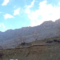 (جاهز للنشر): 🌴 مزرعة جديدة للإيجار 🌴 استمتع بالهدوء والطبيعة الخلابة ...