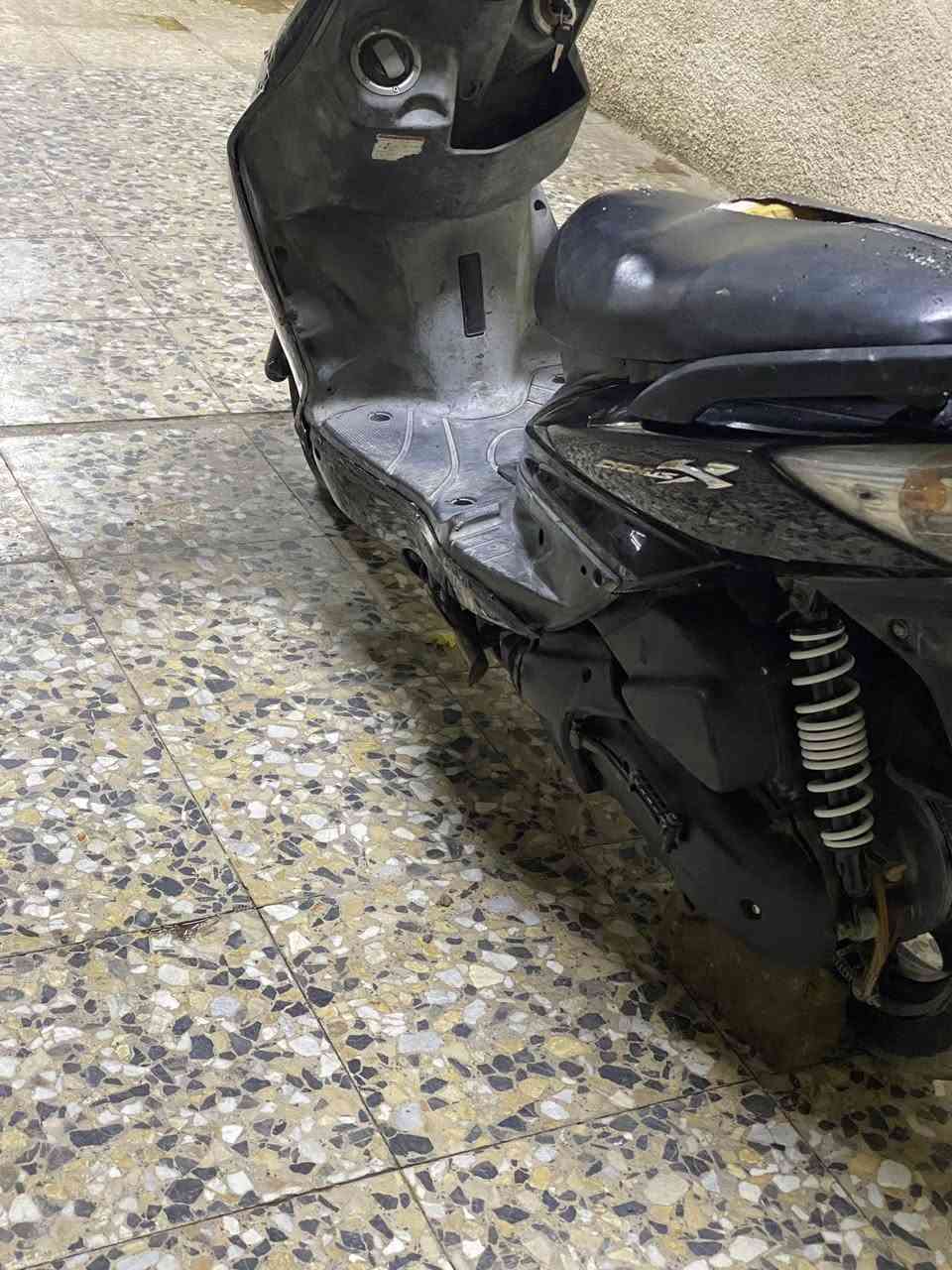 سكنس فحل للبيع يباني قبق نفخ نوزل خطين السعر (650)بيها مجال المكان بغداد (***********)@
