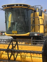 حاصدة • 2019 • بابل