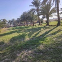 دونم ونص للبيع طابو زراعي سند ٢٥ تحويل مباشر باسم المشتري خلف جامعة با...