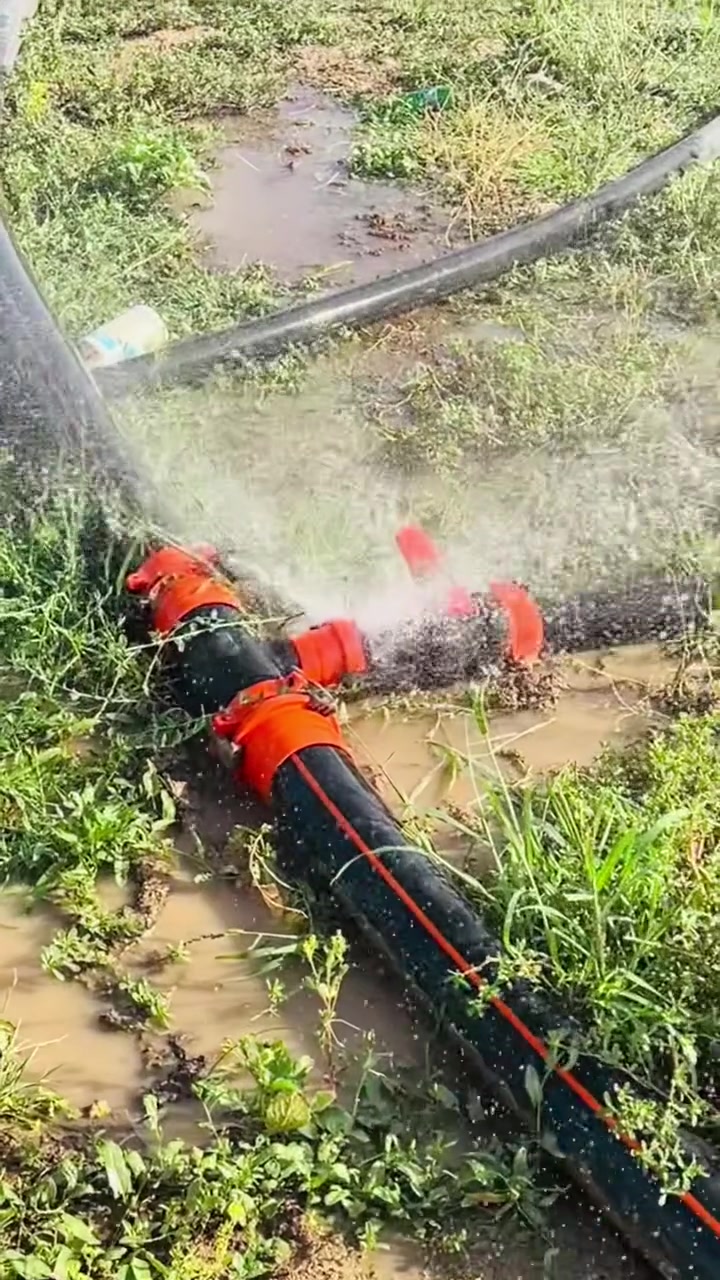 آخر ما توصل أليه الخبير الروسي


**إذا كنت صاحب هذا الإعلان وتريد حذفه لأي سبب، رجاءا أرسل رسالة إلى الدعم الفني**