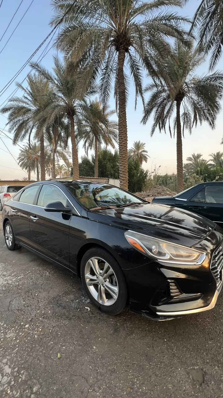 سوناتا 2018
وارد أمريكي حادث خفيف كما موضح بالصور وبيها  سونار شامل سياره جديده 

المواصفات فول عدا الفتحه

بصمه تشغيل أبواب صندوق 

كشن كهربائي تحكمات ستيرن 

رادارات جانبيه خلفيه شاشه كبيره كامره دواره 

3 أنظمه للقياده صندوق ذكي نظام ترحيب 

تتفئه كشنات هيتر يدات نيكل 

مكاني بابل 

السعر. 140$

الاستفسار / ***********
