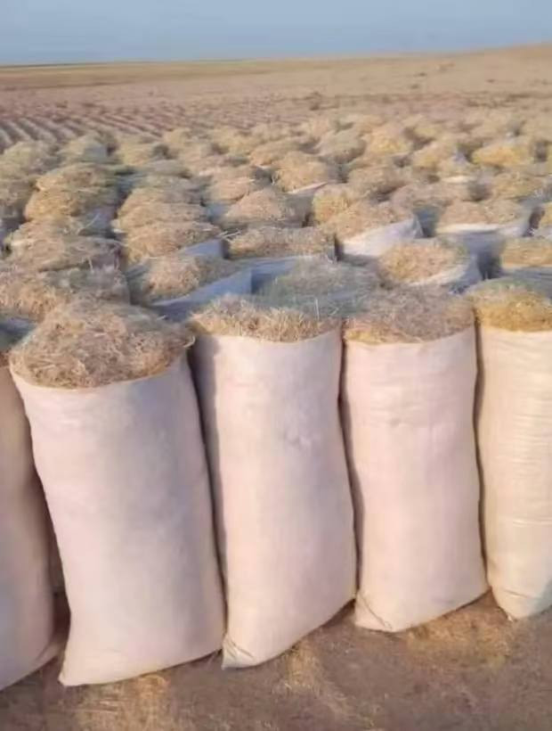 سلام عليكم يوجد لدينا تبن للبيع ابيض شحم جميع القياسات توصيل الكل من محافظات حله  بابل ديوانيه شوملي طويريج القاسم كربلاء الحله بغداد كوت نجف محاويل مسيب خميسه بغداد نتصل رقم (*********** )
جميع مناطق
