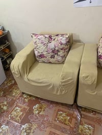 كنب • تخم كامل • تلبيس
