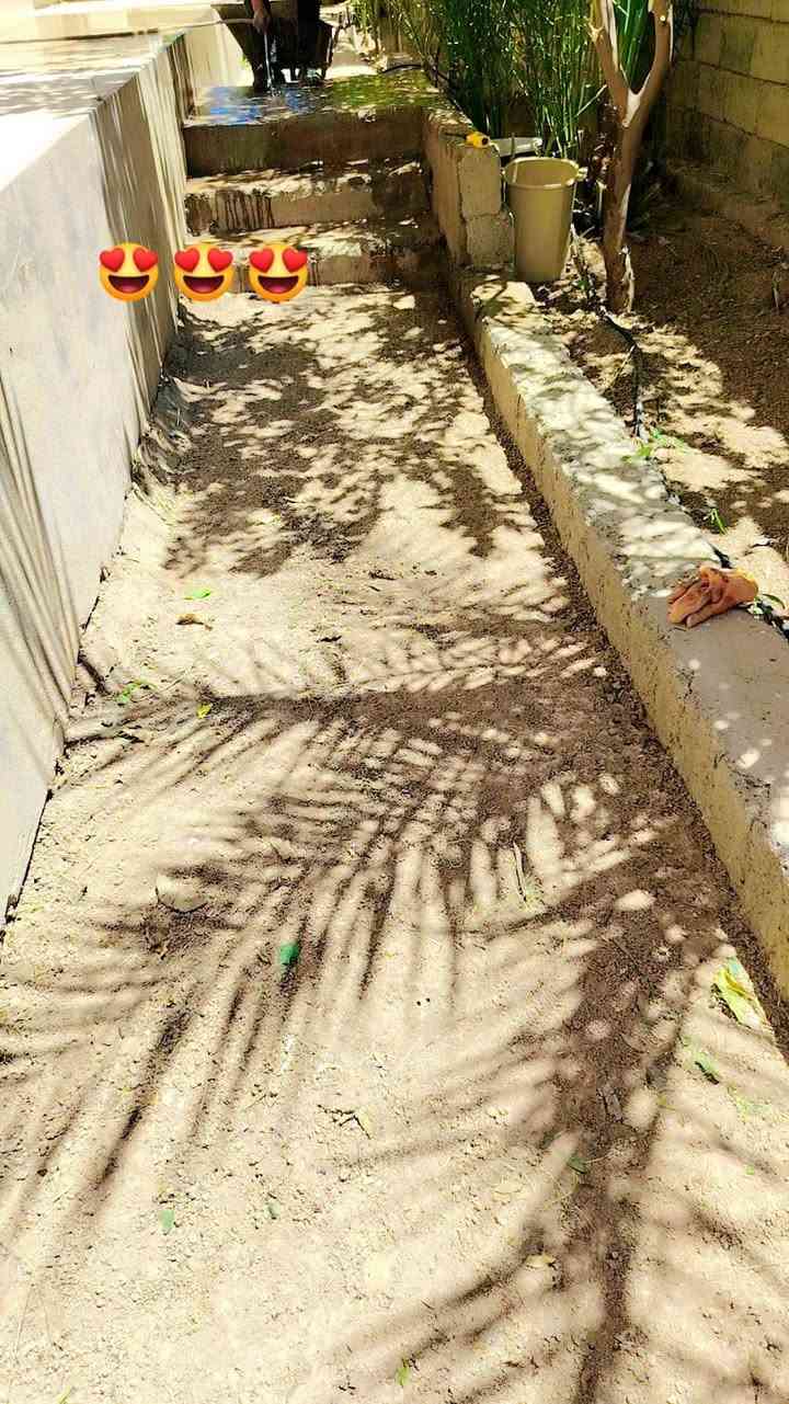 سلام عليكم شقل تنضيف حدايق وتقليم سجر بي مكان نجيك وهلا بل كرايب التصال عل رقم ***********ملاحضه شرط شغل يرضي الله ويرضي الفلاح
