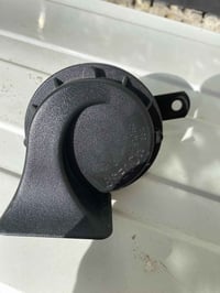 هورن • طاط • للبيع