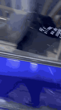 كورلا • ٢٠٢٢ • حادث يمين