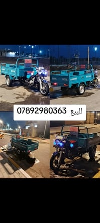 ستوته • اصولي • طوريج