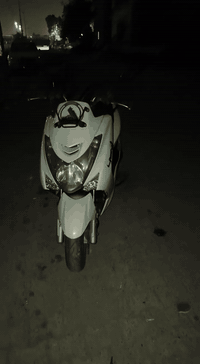 ماجستة S • مكفولة • جديدة