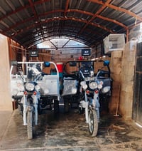 ديالى جلولاء • مديل 2025 • فحل عالي