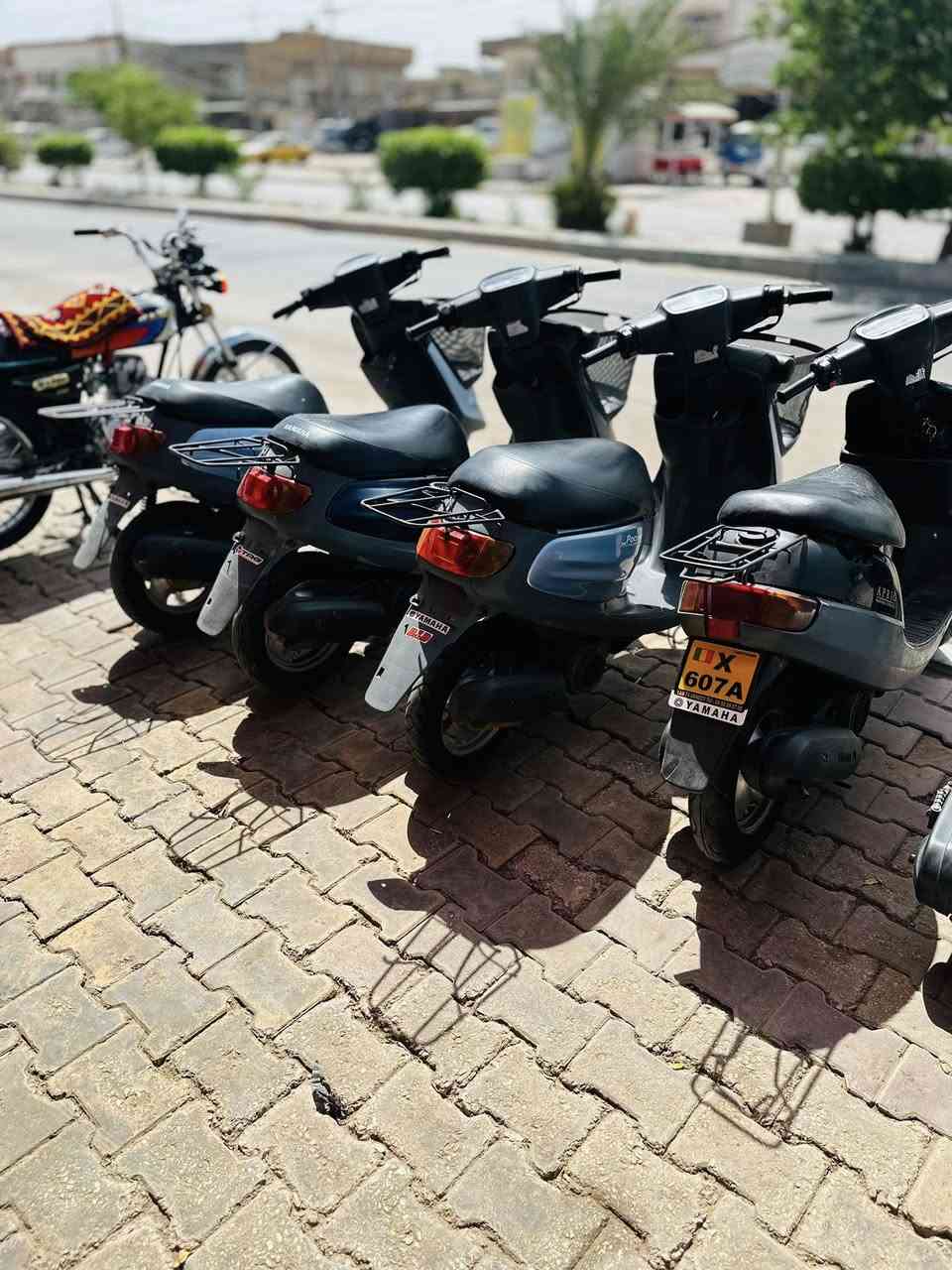 سلام عليكم درجات نضيفه للبيع تجي وتشوف بعينك منغوليات اتلاثه خوات الحاويه ما مفتوحات وبطات ثنين واكزز وبوليس المكان كربلاء سوك الاخير مقابيل قاعة الابداع للتواصل***********
