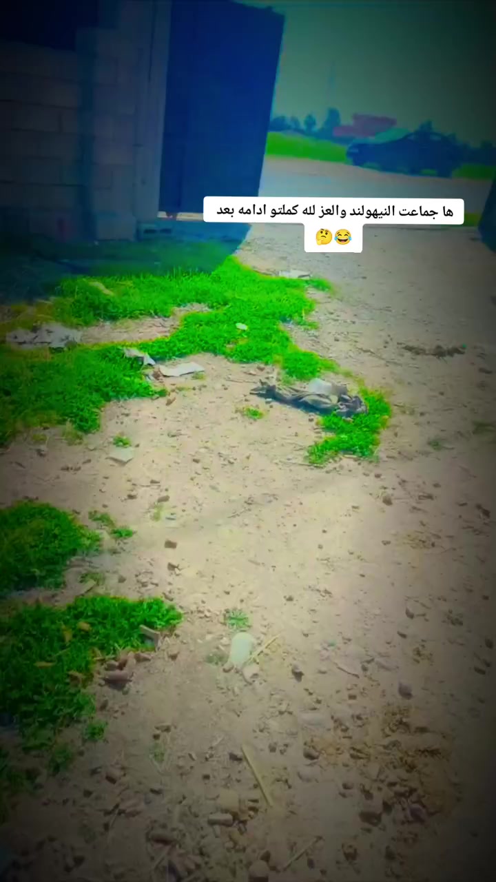 حاصده نيهولند  للبيع قايش
موديل  : 2017 حره
كفاله. : عامه فقط بيه تعديل بارد بل الذيل 
المو شراي لايكسر حلال العالم 
حاصده نضيفه حيل معنى الكلمه
تحويل.   : موباشر 
المكان    : كركوك قضاء الحويجه 
للاستفسار الاتصال على الارقام 
‏‪***********‬‏
***********
