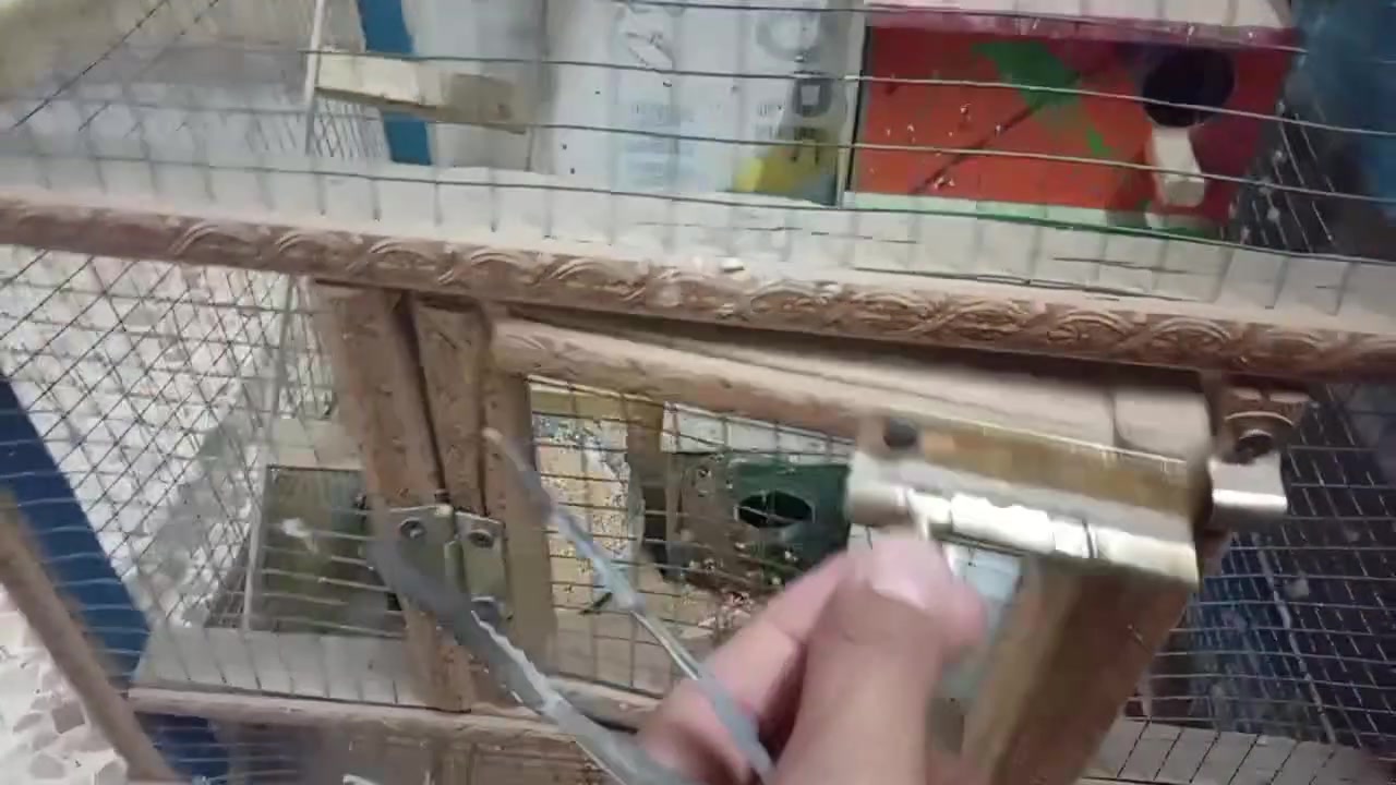 مستعجل ع بيعته بغداد الغزاليه. خاص


**إذا كنت صاحب هذا الإعلان وتريد حذفه لأي سبب، رجاءا أرسل رسالة إلى الدعم الفني**