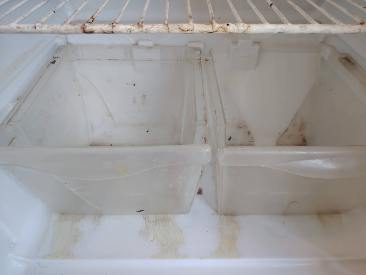 ثلاجة كونكورد حجم كبير شغاله ع الفحص سعره ١٥٠ وبي مجال بيسط مكاني كوفه شارع المعمل


**إذا كنت صاحب هذا الإعلان وتريد حذفه لأي سبب، رجاءا أرسل رسالة إلى الدعم الفني**