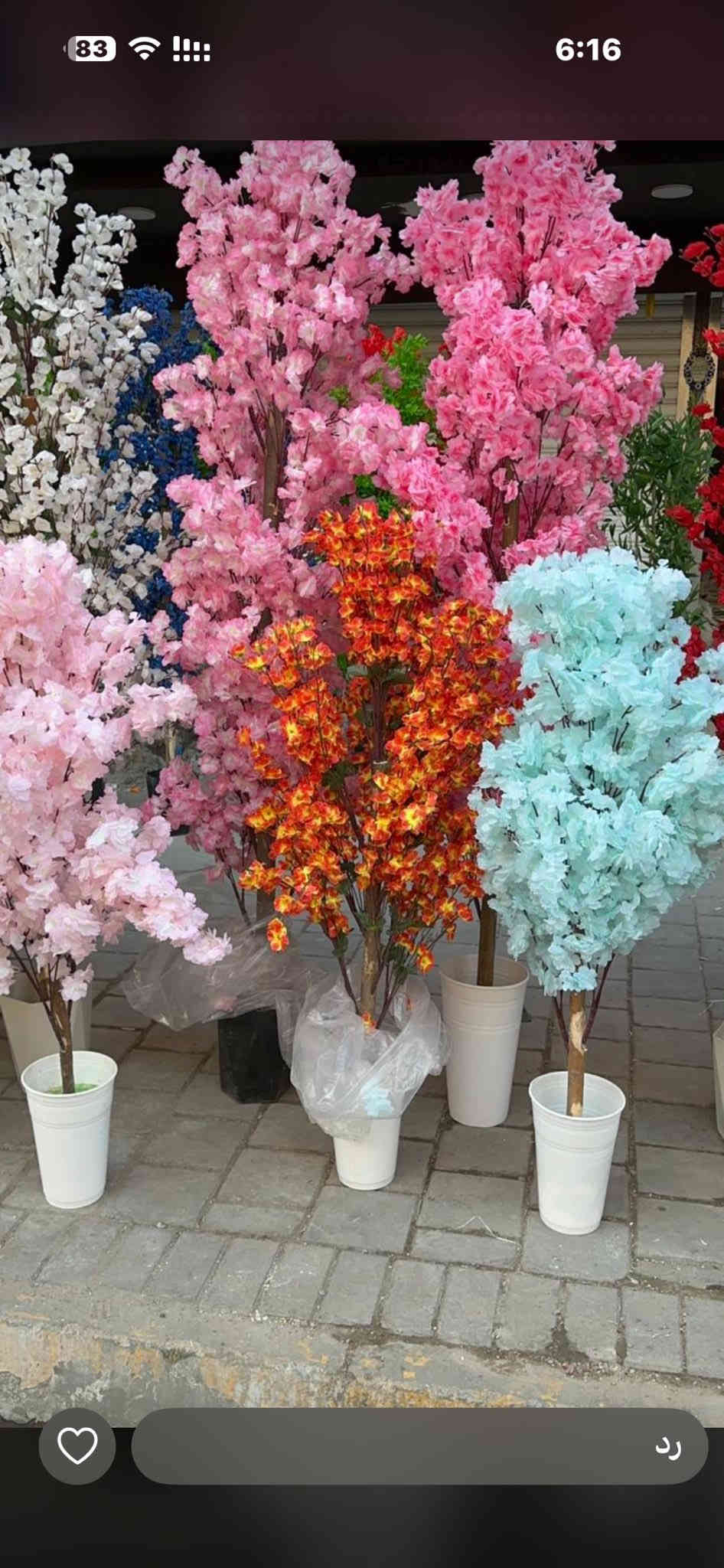 محمد ورد بغداد شورجه عماره الضمان ***********
