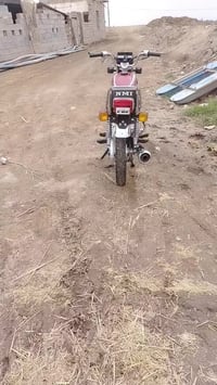 نامه شلامجه باب اول الناعمه مديل 2024 مراوس تايكر رقمي 07855753647