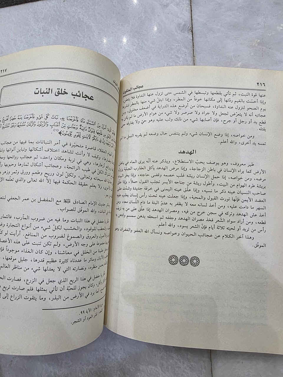ذن اليحتاجهن يحجزهن
كلهن ب١٥ الف


**إذا كنت صاحب هذا الإعلان وتريد حذفه لأي سبب، رجاءا أرسل رسالة إلى الدعم الفني**