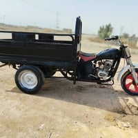 ستوته • وراق صولي • موديل 2014