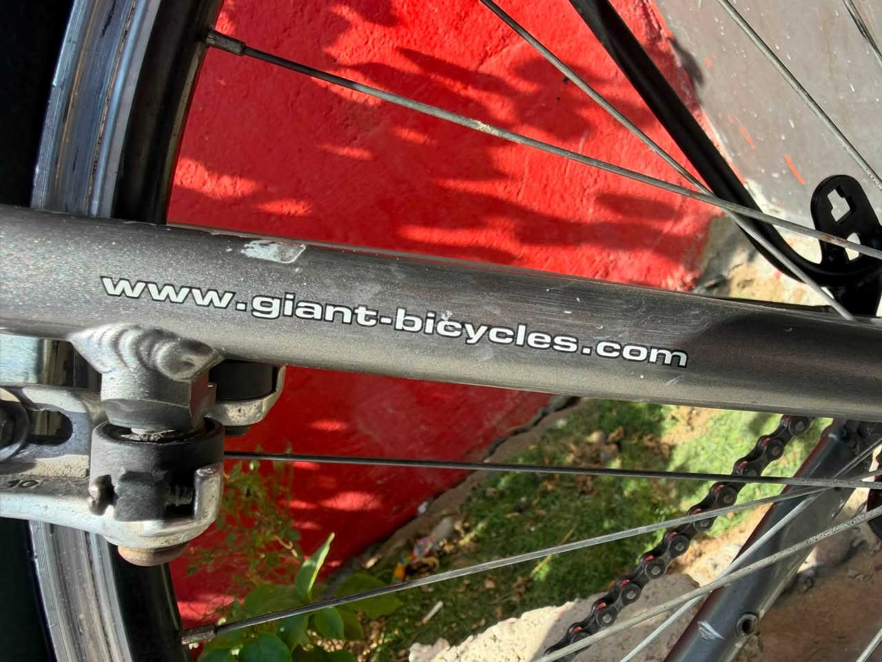 پاسکل ماڕکەی giant 
لاشە ئەلەمنیۆم قیاس 28
سێ گێڕی لە پێشەوە ماڕکەی shimano Alivio
هەشت گێڕ لە دواوە ماڕکەی shimano deore
پاشکۆی دواوەی بیلادیە ماڕکەی giantە
ئیستۆپی  هایدرۆلیک ماڕکەی Magura 
ئیستۆپی دواوەی گۆڕدراوە جۆری سیمی لەسەرە
ژ.م ***********
واتسئەپ ڤایبەر

