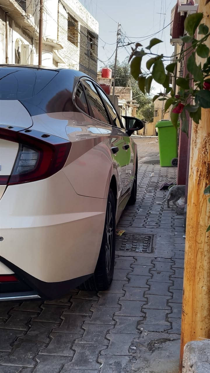 سلام عليكم
سياره سوناتا هايبرد 2021  للبيع
السياره جاهزه من كلشي
مابيها نقص برغي 

مكينه كير حداديه تبريد خير من الله
فول مواصفات ماعده الفتحه 
بصمه تشغيل
بصمه ابواب خارجيه واناره ترحيب
منضومه لايت زنون سعره 500 الف
طخم تاير جديد
انضمه قياده عدد -4-
حساسات اماميه خلفيه
كامره خلفيه
مثبت سرعه
شاشه 
تحكمات ستيرن
قطعتين تبريد 
8 سماعات
سايد بريك كهربائي
مانع انزلاق 

السياره ماناقصه شي باسمي 
تحويل ثاني يوم

السعر 132 وبيه مجال بسيط
عنوان السياره البصره
اتصال 
☎️ ***********
