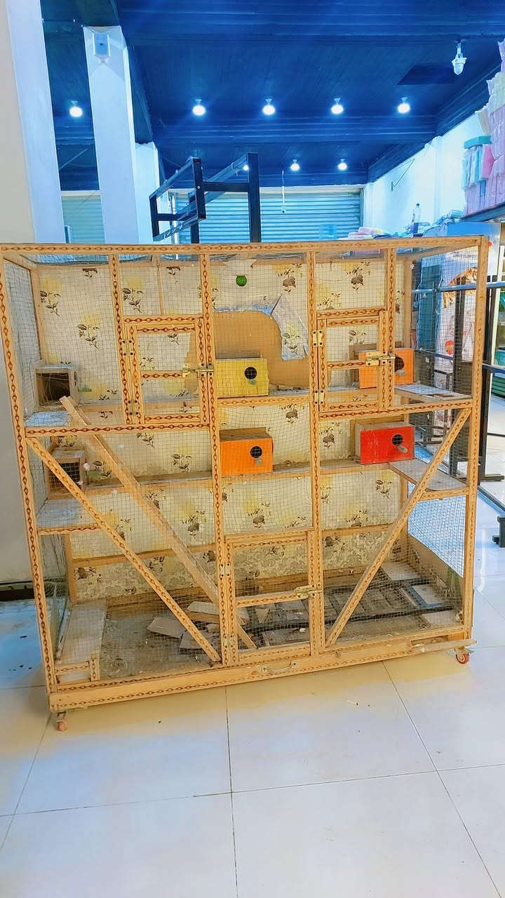 متاح نواع القفاص الحديد المكان العمارة ابرمانة ***********
موجود وتساب الي ما عدة رصيد 
مكلف بل نشر شراي يخابر رجان
