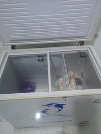 مجمدة • نظيفة • كربلاء الجاير