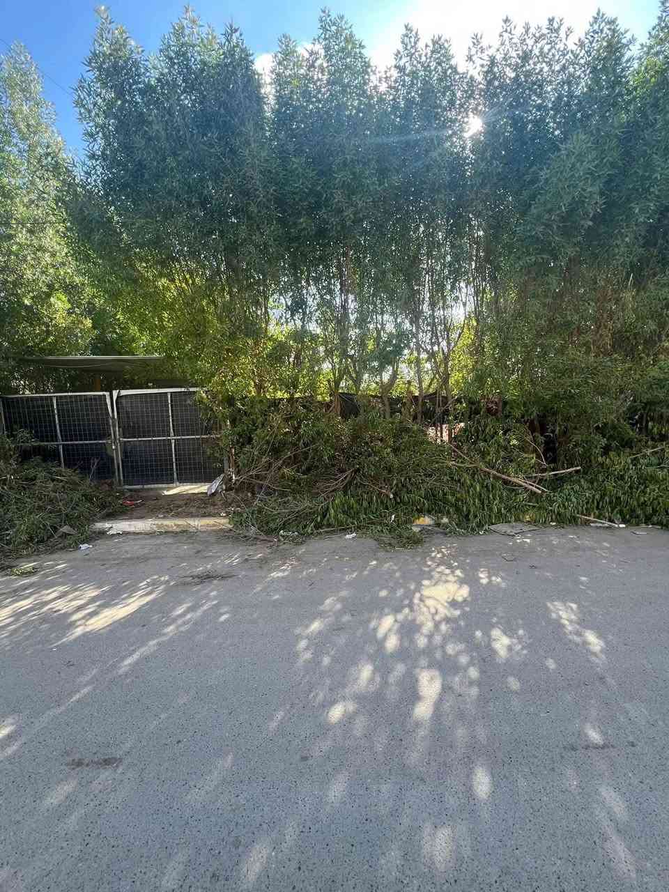 بيت 300م²  للبيع ركن  مقابيل البيت تشجير 

واجهة العقار 15 متر ونزال 20 متر. 
البيت يباع بسعر قطعة ارض 

 يقع الدار في حي الجهاد منطقة  السمجة قرب ماركت بيتي مجاور الاطباء 
موقع مميز 

للاستفسار : مكتب سومر للعقار 🏛️ 
*********** 📞
