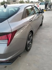 ٢٠٢٣ • بدون صبغ • بعقوبة