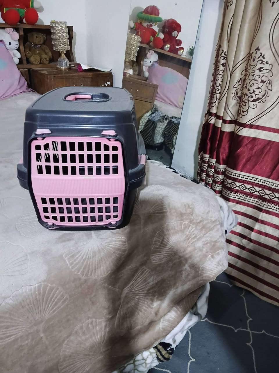 لتر بوكس  مال قطط. السعر. 10  الاف


**إذا كنت صاحب هذا الإعلان وتريد حذفه لأي سبب، رجاءا أرسل رسالة إلى الدعم الفني**